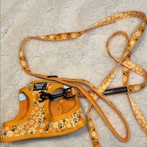 Peanuts Sassy Meow harness and leash for cat or small dog